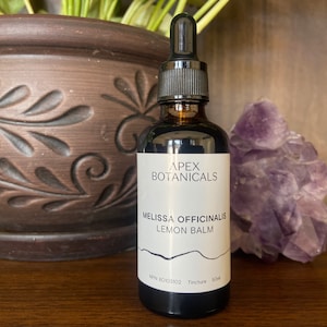 Lemon Balm Extract | Melissa officinalis