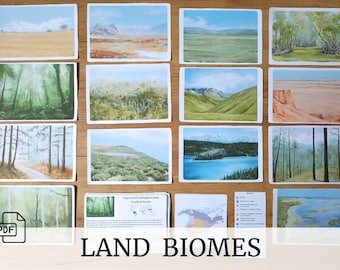 Land Biomes (cards, maps and activities)