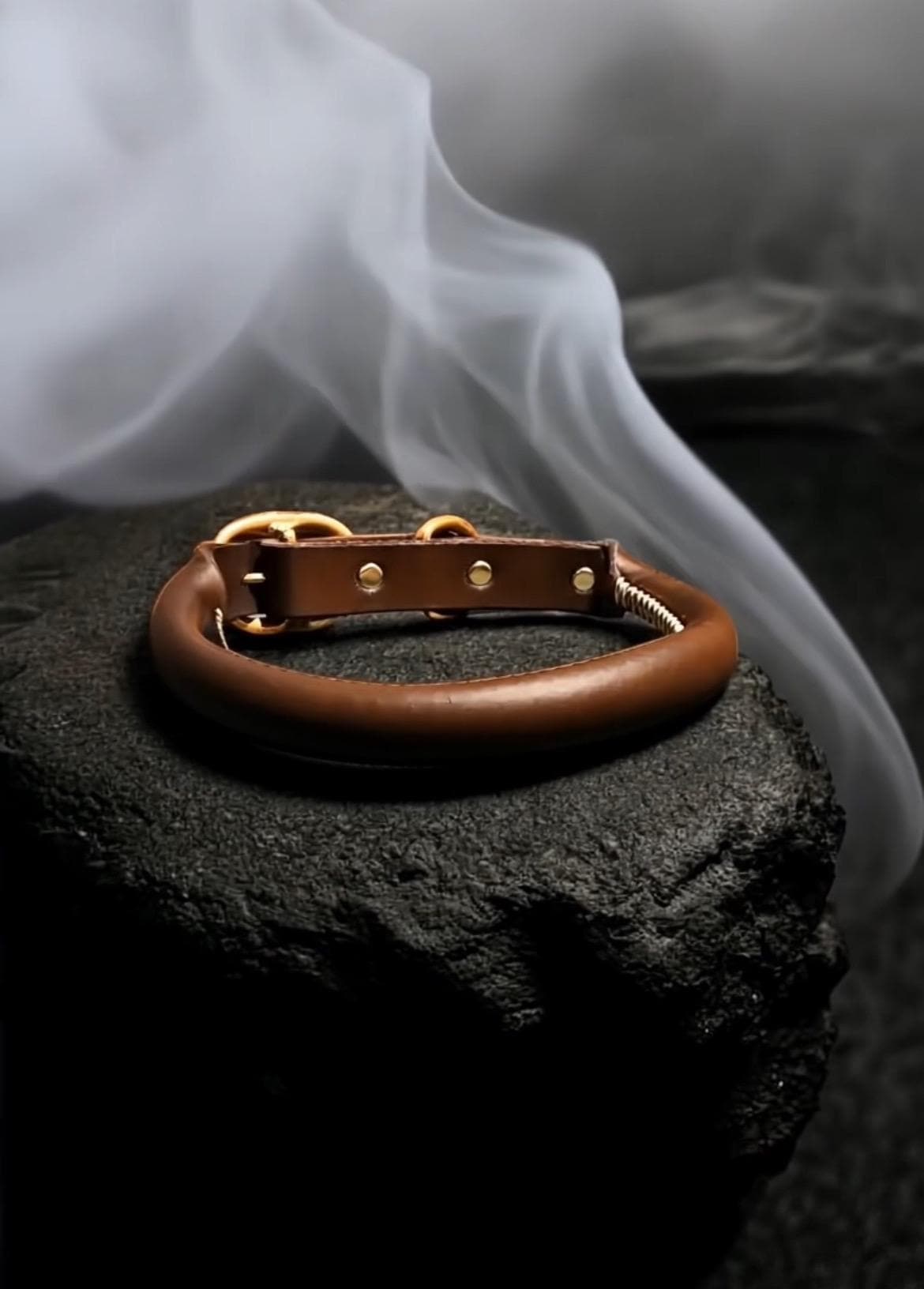 Premium Leather ROLLED Dog Collar Heavy Duty Anti Escape Comfortable and Safe Professional Training Personalized Made in Australia