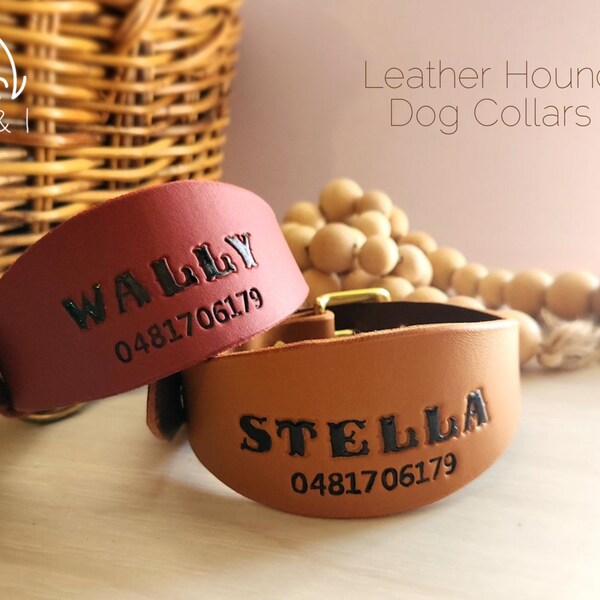 Greyhound Dog Collar Etsy