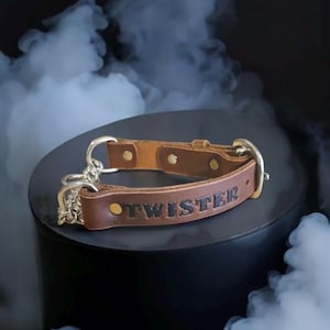 MARTINGALE Premium Dog Collar Leather Heavy Duty Stainless Steel Chain Comfy and Safe Professional Training Made in Australia