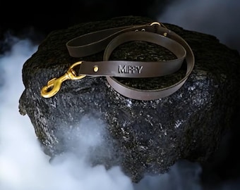 Premium Dog Leash Leather Heavy Duty Comfortable and Safe Daily Use Walking Brass hardware Made in Australia 1.2cm long