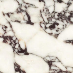Calacatta Viola Stone Sample 10x10cm