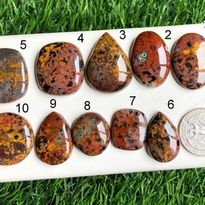 Ausgewählte Ozean Jaspis Cabochon, natürlicher halb kostbarer loser Edelstein für die Schmuckherstellung, Ozean Jaspis Schmuck im westlichen Stil