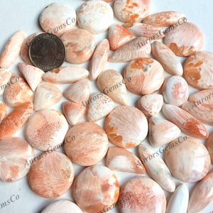 Cabochão de escolosite rosa, lote de atacado, formas e tamanhos mistos, melhor escolosite rosa natural para joias e faça você mesmo, fabricação de artesanato,
