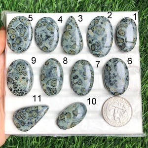 Cabochon di pietra preziosa di diaspro Kambaba, pietra preziosa semipreziosa naturale per la creazione di gioielli, pietra preziosa curativa, cristallo di potere, pietre preziose sfuse lotto 261