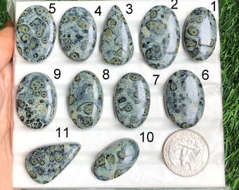May include: A collection of eleven polished leopard skin jasper gemstones in various oval and teardrop shapes. The stones feature a mottled pattern of tan and dark green spots on a light gray background. A quarter coin is included for size reference.