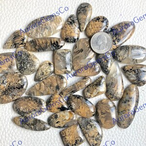 Ágata dendrita de tigre, cabochão, lote de atacado, formas e tamanhos mistos, melhor ágata dendrita de tigre natural, para joias e bricolagem, fabricação de artesanato,