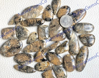 Tiger Dendrit Achat, Cabochon, Wholesale Lot, Mix Formen und Größe, Bester natürlicher Tiger Dendrit Achat, für Schmuck & DIY, Bastelherstellung,
