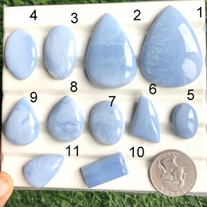 May include: A collection of eleven polished, light blue opal gemstones in various shapes, including oval, teardrop, and rectangular. The opals are displayed on a white surface, with a US quarter for size comparison. The gemstones have a smooth, glossy finish.