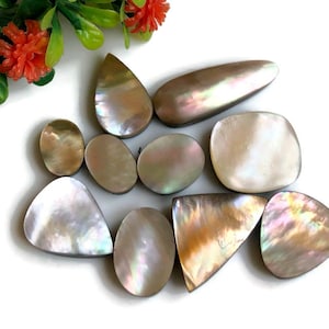 White Abalone Shell Cabochons, 12-29mm Approx Mix Shape & Size 10pcs Lot For Jewelry Making, Mother Of Pearl Ring, Gift Jewelry 20649