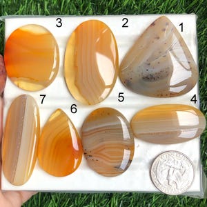 Cabochão de ágata amarela de Botsuana, lote de atacado, formatos e tamanhos variados, cabochão de ágata amarela de Botsuana para joalheria e artesanato. lote-234