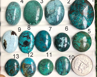 May include: A collection of thirteen turquoise gemstones in various shapes and sizes, including oval and round cabochons. The stones display a range of blue-green hues with brown matrix patterns. A US quarter is included for size reference.