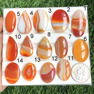 May include: A collection of fourteen polished agate gemstones in shades of orange, red, and white, displayed on a white surface. The stones vary in shape, including oval, teardrop, and irregular forms. A quarter coin is included for size reference.