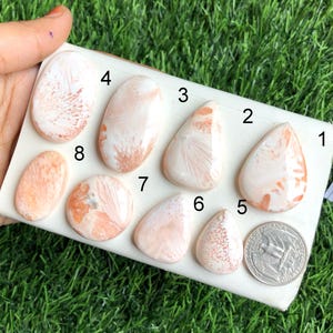 Cabochon di scolecite rosa, pietra semipreziosa naturale per la creazione di gioielli, cabochon lucidati a mano, pietra curativa, lotto -110