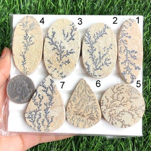 Lotto di cabochon di fossili di dendrite, lotti di pietre preziose fossili di dendrite naturale per gioielli e creazioni artigianali fai da te per lei - lotto da 125