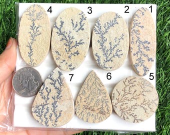 Dendrite Fossil Cabochon Lot , Natural Dendrite Fossil Gemstone Lots For Jewellery & DIY Craft making for her lot -125