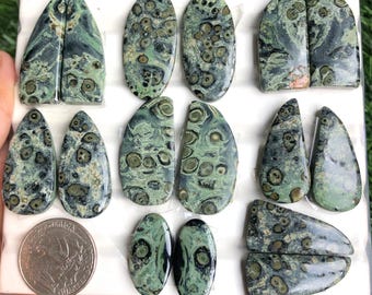 May include: A collection of polished gemstones in various shapes, including ovals, teardrops, and irregular forms. The stones feature a mottled pattern of green, black, and tan, with a quarter coin for size comparison. The gemstones are displayed on a white surface.
