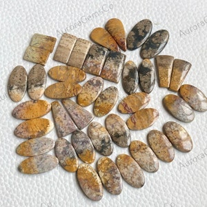 Par de cabochão de ágata de raiz de palma, lote de atacado de formas e tamanhos mistos, melhor ágata de raiz de palma natural para fazer joias e artesanato DIY