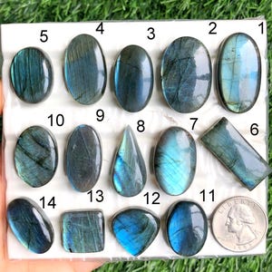 May include: A collection of polished labradorite gemstones in various shapes, including ovals, teardrops, and rectangles. The stones display iridescent blue and green flashes. A quarter coin is included for size reference.