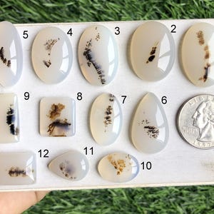 Cabochon di agata dendrite, pietra semipreziosa naturale per la creazione di gioielli, pietra curativa, cabochon fatti a mano, regalo per lei, LOTTO - S80