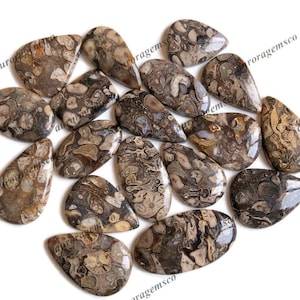 Lote de atacado de cabochão fóssil de amendoim, formas e tamanhos mistos, fóssil de amendoim para fazer joias e artesanato DIY, pingente de embrulho de fio