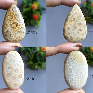 Cabochon di pietre preziose fossili di corallo, pietre preziose semipreziose naturali per la creazione di gioielli, pietre preziose fatte a mano, saldi di Capodanno