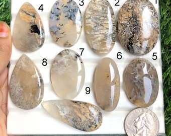 Tiger Dendrit Achat, Cabochon, Großhandel, Mix Formen und, Bester natürlicher Tiger Dendrit Achat, für Schmuck & DIY, Handwerk, Lot 340