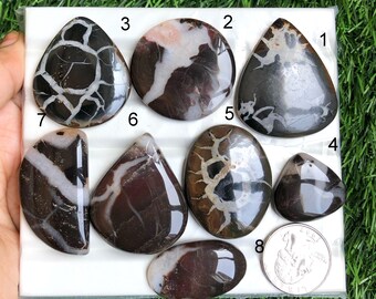 May include: A collection of polished gemstones in various shapes, including teardrop, oval, and round. The stones feature a dark brown base color with white and cream-colored veining patterns. A quarter coin is included for size reference.