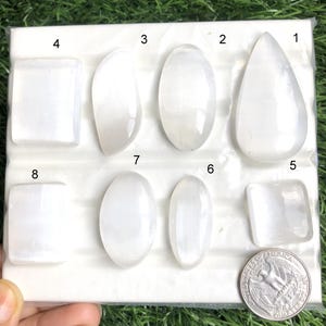 Puede incluir: Surtido de ocho piedras de cristal de selenita blancas en varias formas, incluyendo lágrima, ovalada y cuadrada. Se incluye una moneda de 25 centavos estadounidense para comparar el tamaño. Las piedras se muestran sobre una superficie blanca sobre un fondo verde.