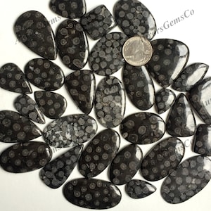 Incrível lote de cabochão de coral fóssil preto, mistura de formas e tamanhos, o melhor coral fóssil preto natural para joias e artesanato faça você mesmo
