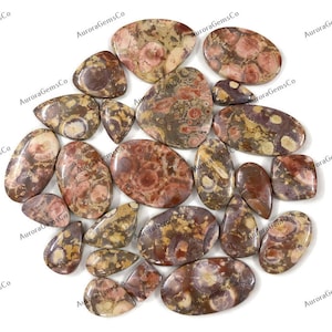 Cabochão de pedra preciosa de jaspe de olho de pássaro, atacado lote de formas e tamanhos mistos, melhor jaspe de olho de pássaro natural para fazer joias e artesanato DIY