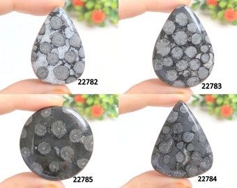 Black Fossil  Cabochon, Good Quality Black Fossil Gemstone For Jewelry Making, Hand Polished Cabs, Loose Gemstone