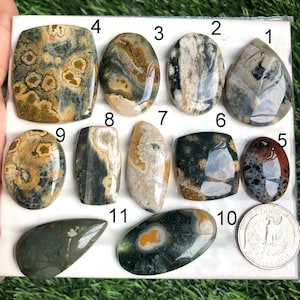 以下が含まれることがあります： 様々な形と色の11個の研磨された宝石のコレクション。楕円形、涙滴型、長方形など。石は茶色、緑色、白色、黒色の模様を特徴としています。サイズの目安としてコインが含まれています。