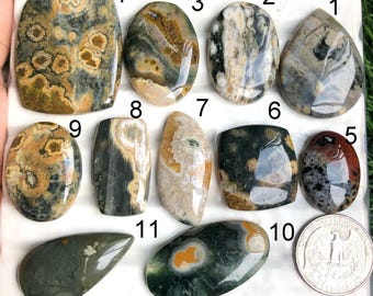 May include: A collection of eleven polished gemstones in various shapes and colors, including oval, teardrop, and rectangular forms. The stones feature patterns of brown, green, white, and black. A quarter coin is included for size reference.