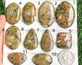 May include: A collection of eleven polished gemstones in various shapes, including oval, teardrop, and square. The stones display a mix of earthy tones, with green, brown, and orange hues. A US quarter is included for size reference.