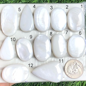 Cabochão de concha branca, concha de esfregão natural, lote por peso, com diferentes formatos e tamanhos para fabricação de joias. para o lote 134