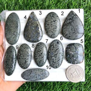 Cabochon fossile di snack nero, pietra semipreziosa naturale per la creazione di gioielli, gioielli fatti a mano, cristallo energetico, pietre curative lotto 170
