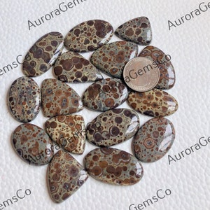 Cabochão de asteróide Jasper, lote de atacado de formas e tamanhos mistos, melhor jaspe de asteróide natural para fazer joias e artesanato DIY