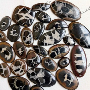 Cabochão Septário Preto, Lote de Formas e Tamanhos Misturados por Atacado, Melhor Septário Preto Natural para joias e fabricação de artesanato DIY