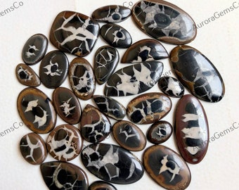 May include: A collection of 17 black and white agate cabochons with a variety of patterns and shapes. The cabochons are polished and have a glossy finish.
