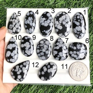 May include: A collection of twelve polished snowflake obsidian gemstones in various shapes, including oval, teardrop, and square. Each stone features a black base with white, snowflake-like patterns. A US quarter is included for size reference.