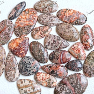 AAA + Qualidade Pele de Leopardo Jasper Cabochão Atacado Lote Mix Formas e Tamanhos, Melhor Jaspe Natural de Pele de Leopardo para Jóias e Fabricação de Artesanato DIY
