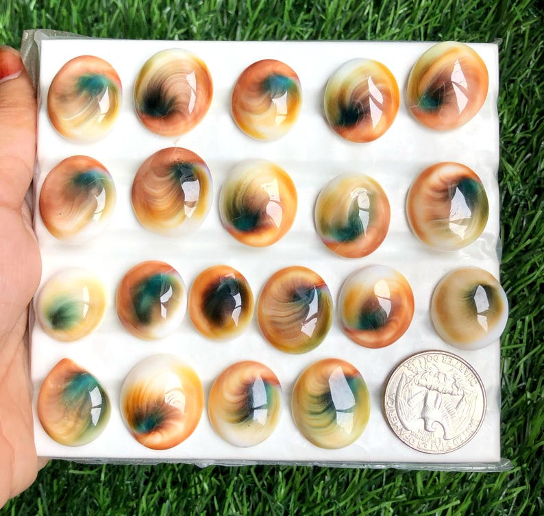 Australian Shell Cabochon, Wholesale Lot Mix Shapes and Size, Best ...