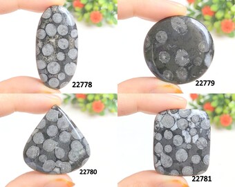 Black  Fossil  Cabochon, Semi Precious Gemstone For Jewelry Making, Handmade cabochon, Natural Crystal