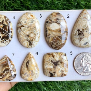 Cabochon di calcare di roccia, pietra preziosa semipreziosa naturale per la creazione di gioielli, gioielli curativi, pietra preziosa fatta a mano, pietra preziosa sciolta LOTTO - S47