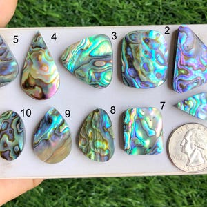 Abalone Muschel Cabochon, natürlicher Halbedelstein für die Schmuckherstellung, Heilstein, Designer Schmuck, Energiekristall LOT - S21