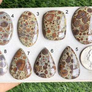 Cabochon en jaspe astéroïde, pierre semi-précieuse naturelle pour la fabrication de bijoux, pierre précieuse de guérison, pierre précieuse faite main, cristal de puissance LOT - S90