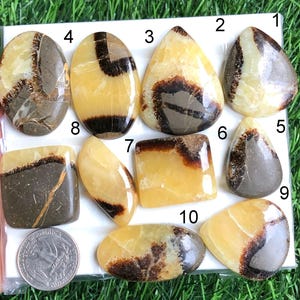 Cabochão amarelo septariano, lote de atacado, formas e tamanhos variados, cabochão amarelo septariano para fazer joias para seu lote-129