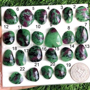 Può includere: Una collezione di ventidue gemme di rubino zoisite, ognuna con una forma e un taglio unici. Le pietre mostrano un vibrante colore di base verde con sorprendenti inclusioni rosse. Una moneta è inclusa per riferimento delle dimensioni. Le gemme sono disposte su una superficie bianca.